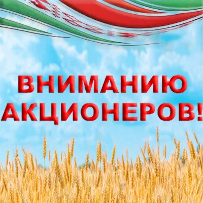 Собрание акционеров 28 марта 2025 года